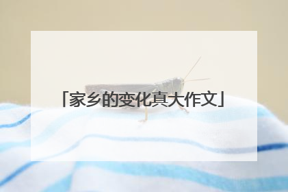 家乡的变化真大作文