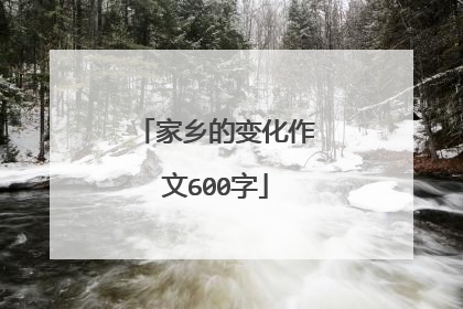 家乡的变化作文600字