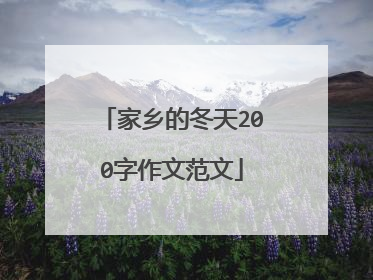 家乡的冬天200字作文范文