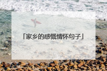 家乡的感慨情怀句子