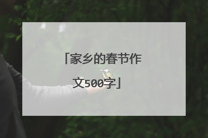 家乡的春节作文500字