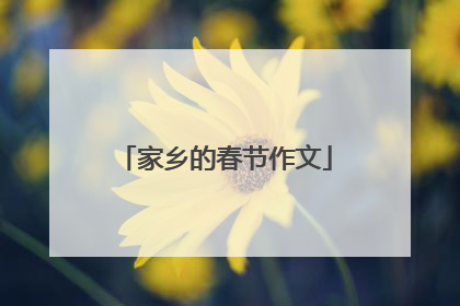 家乡的春节作文