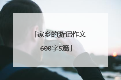 家乡的游记作文600字5篇
