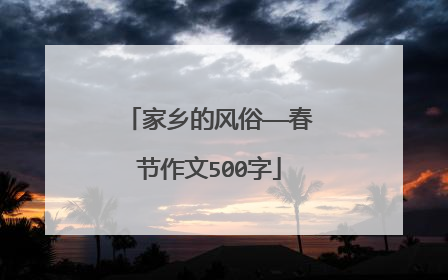 家乡的风俗——春节作文500字