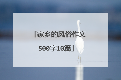 家乡的风俗作文500字10篇