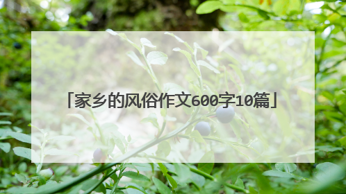 家乡的风俗作文600字10篇