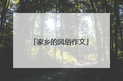 家乡的风俗作文