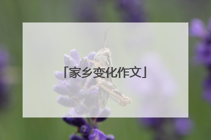 家乡变化作文