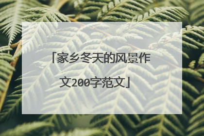 家乡冬天的风景作文200字范文