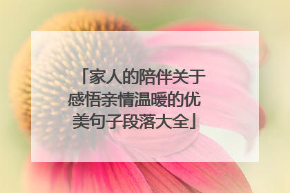 家人的陪伴关于感悟亲情温暖的优美句子段落大全