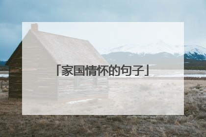 家国情怀的句子