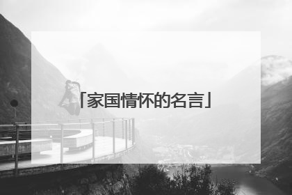 家国情怀的名言