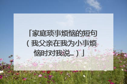 家庭琐事烦恼的短句(我父亲在我为小事烦恼时对我说…)