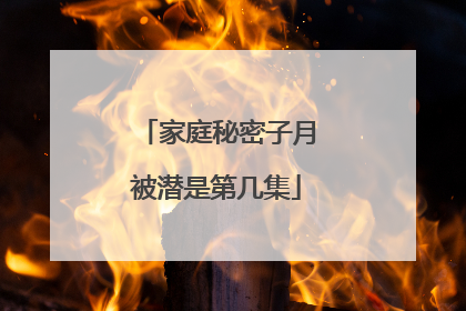 家庭秘密子月被潜是第几集