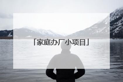 家庭办厂小项目
