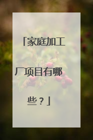 家庭加工厂项目有哪些？
