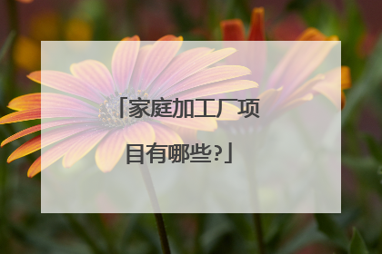 家庭加工厂项目有哪些?
