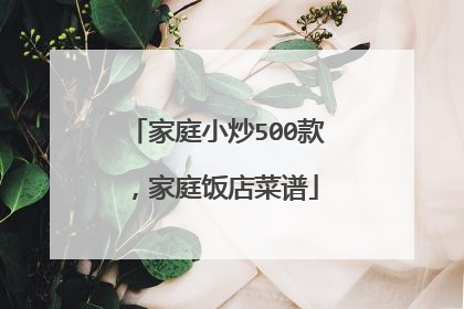 家庭小炒500款，家庭饭店菜谱