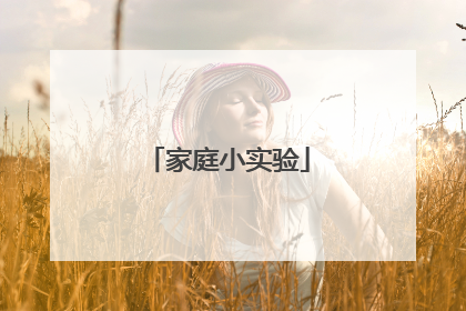 家庭小实验