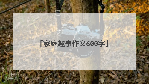 家庭趣事作文600字