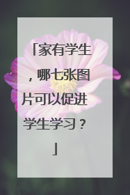 家有学生,哪七张图片可以促进学生学习?