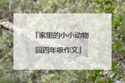 家里的小小动物园四年级作文
