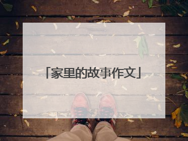 家里的故事作文