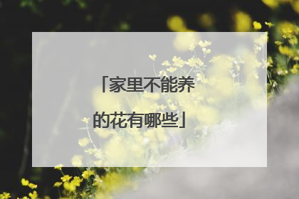 家里不能养的花有哪些