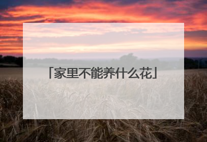 家里不能养什么花
