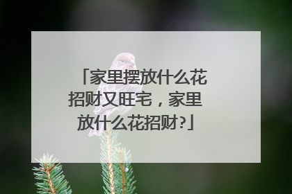 家里摆放什么花招财又旺宅，家里放什么花招财?