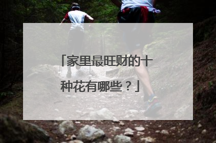 家里最旺财的十种花有哪些?