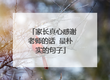 家长真心感谢老师的话 最朴实的句子