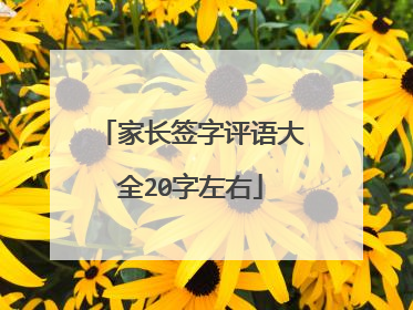 家长签字评语大全20字左右