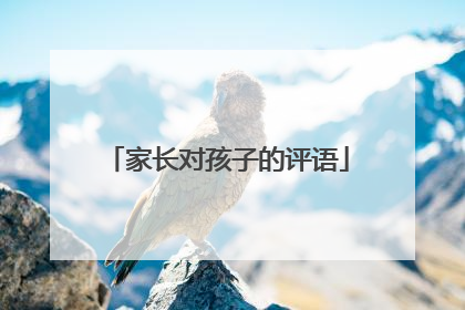 家长对孩子的评语