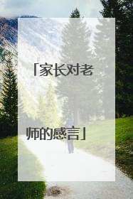 家长对老师的感言