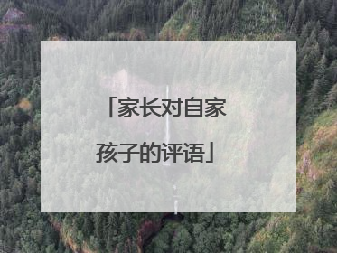 家长对自家孩子的评语