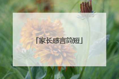 家长感言简短