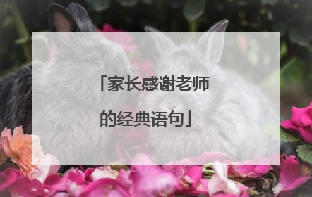家长感谢老师的经典语句