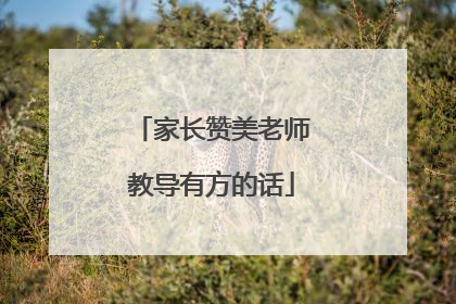 家长赞美老师教导有方的话