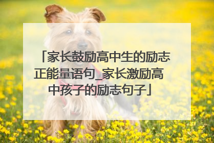 家长鼓励高中生的励志正能量语句_家长激励高中孩子的励志句子
