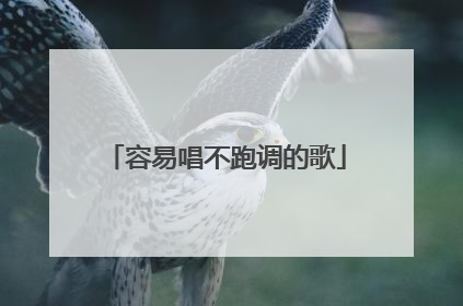 容易唱不跑调的歌