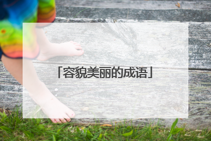 容貌美丽的成语