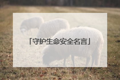 守护生命安全名言