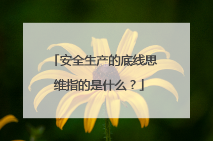 安全生产的底线思维指的是什么?