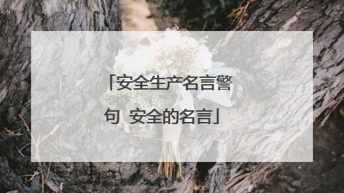 安全生产名言警句 安全的名言