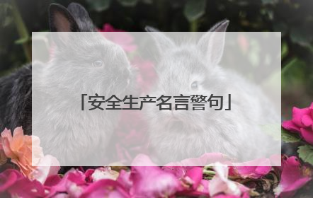 安全生产名言警句