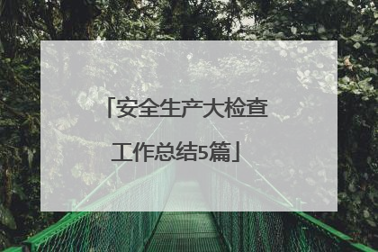安全生产大检查工作总结5篇