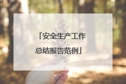 安全生产工作总结报告范例