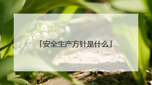 安全生产方针是什么