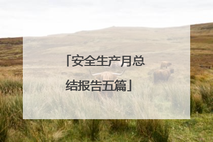 安全生产月总结报告五篇